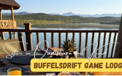 Buffelsdrift Game Lodge mit Kindern: Unser ehrlicher Erfahrungsbericht
