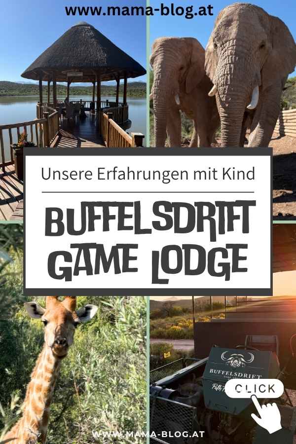 Pin für Pinterest mit dem Titel "unsere Erfahrungen mit Kind - Buffelsdrift Game Lodge" und 4 Fotos mit Elefanten, Giraffe, einem Safariauto und dem Wasserloch.